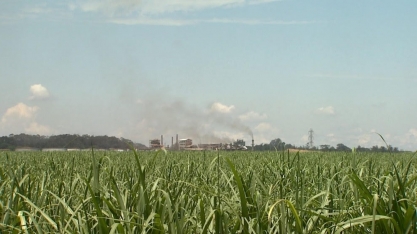 Centro-Sul deve processar 565,3 mi de t em 2022/23, + 6,5% ante 21/22