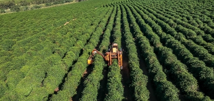 Conab eleva previsão de safra de café do Brasil a 47,7 mi sacas em 2021 