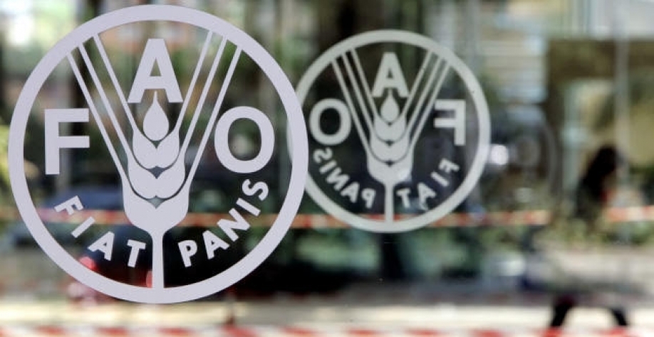 Alimentos têm maiores preços desde 1975, segundo FAO 