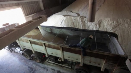 Déficit no mercado de açúcar cresce com Índia aumentando produção de etanol 