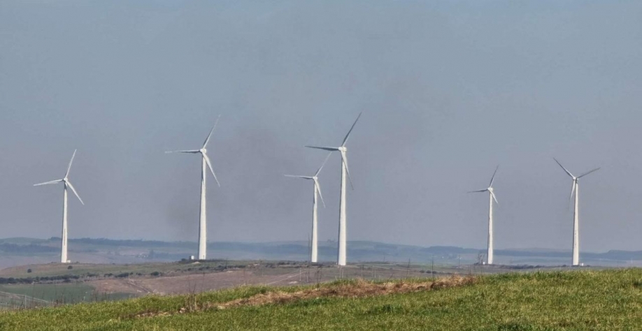 Legenda: Ainda de acordo com o texto, as empresas que adotarem o Selo Nacional ASG terão direito a benefícios