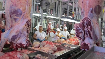Qual o impacto do boicote de supermercados europeus à carne brasileira?
