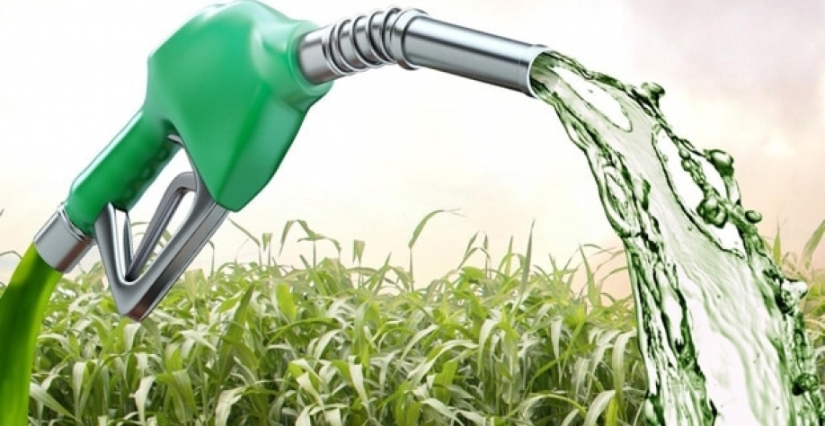 Etanol: Análise Agromensal Conjuntural Cepea/Esalq/USP Novembro/2021