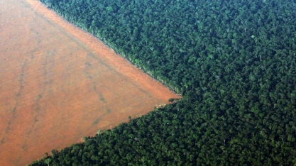 Brasil pode moldar o perfil ambiental dos sistemas alimentares globais