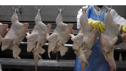 ABPA refuta decisão da África de impor antiduping sobre frango do Brasil 