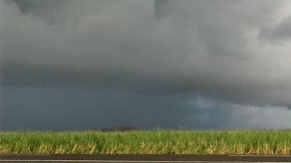 Cana: Volume de chuvas no Centro-Sul deve ajudar safra 2022/23