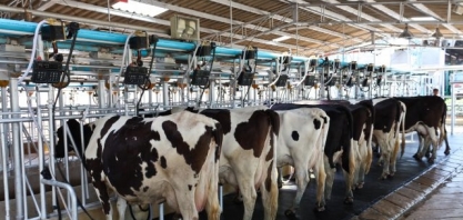 Valor pago ao produtor de leite tem queda de 3%