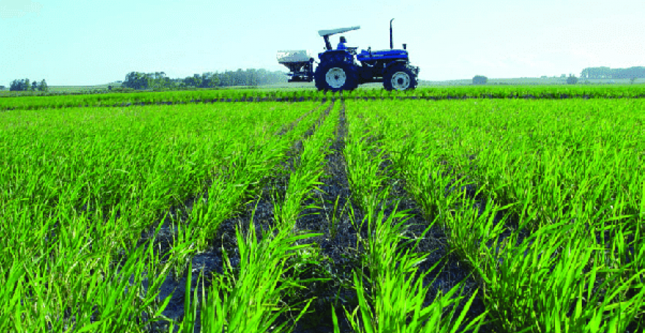  Farsul: Inflação do custo de produção rural em 2021 foi de 51,39%