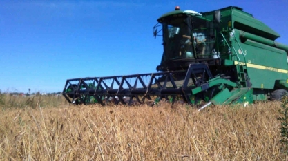 Paraná calcula R$ 24 bi em perdas nas safras de soja, milho e feijão