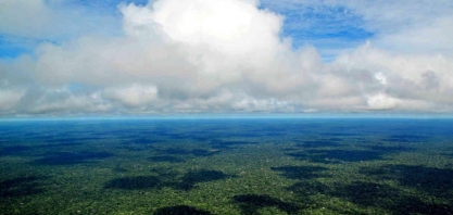 “Bilhões de dólares virão para reflorestamento no Brasil nos próximos anos”