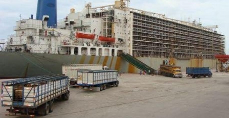 Exportação de gado vivo tem pior desempenho dos últimos anos