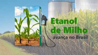 Usina paranaense aposta na produção do etanol a partir do milho