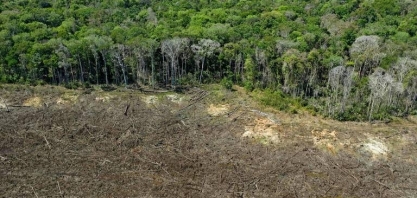 Grandes empresas ignoram promessas de combate ao desmatamento, diz estudo