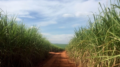 Para usineiros é natural CNPE fixa mistura na gasolina