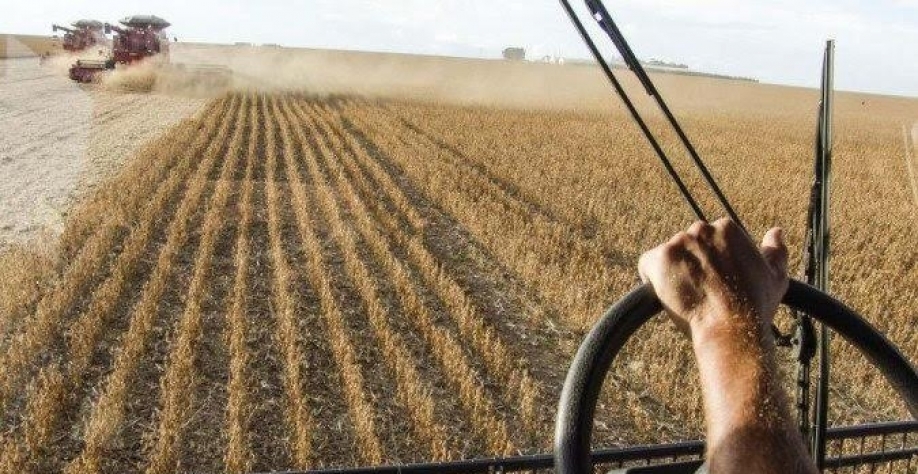 Após a bonança, conta de parte dos produtores não vai fechar neste ano