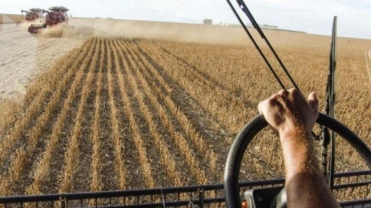 Após a bonança, conta de parte dos produtores não vai fechar neste ano