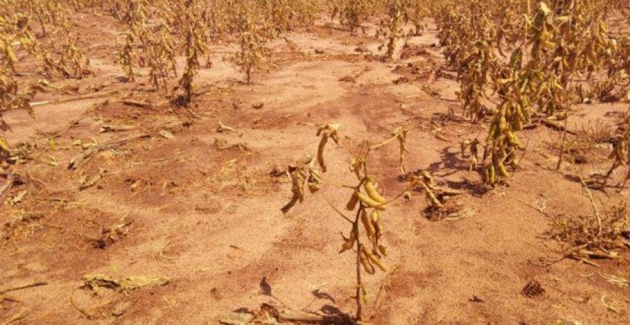 Perdas na safra gaúcha de soja e milho por seca podem somar quase R$ 20 bi