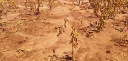 Perdas na safra gaúcha de soja e milho por seca podem somar quase R$ 20 bi