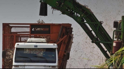 NE termina safra com a 1ª central cooperativista da cana unindo 4 usinas