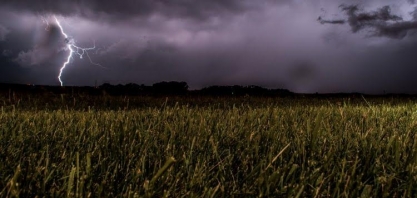 MG: Lavouras perdem 119 mil ha com chuvas; área de milho verão é afetada