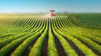 Perspectivas risonhas no campo – Por Roberto Rodrigues