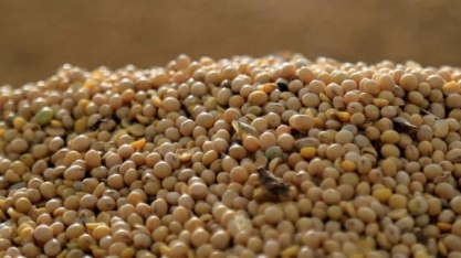 Exportações do agronegócio atingem US$ 120 bi em 2021, puxadas pela soja