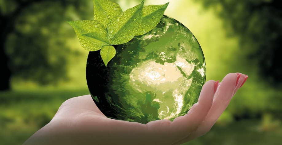 Governadores debatem economia e agenda verde com autoridades europeias