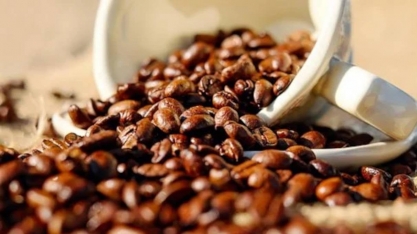 Safra de café deve crescer 16,6% com leve recuperação de lavouras
