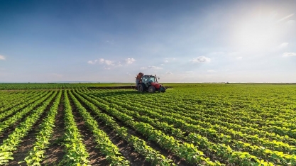 A agricultura regenerativa: Escalar ou morrer – Por Russ Conser