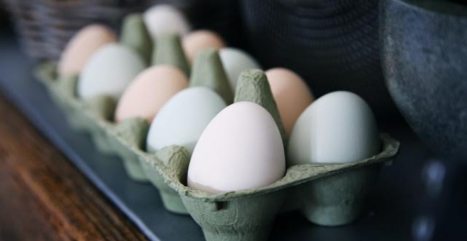 Ovos: Exportação em 2021 cresce 815% ante 2020, para 11,3 mil t 