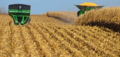 Preço alto de grãos pode persistir por anos, diz Goldman