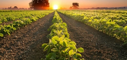 CNA: Agronegócio exporta 19,7% mais em 2021 com recorde de US$ 120,6 bi