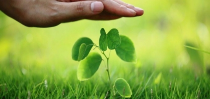 Agricultura: Em 2021, valor segurado no País atingiu R$ 68,3 bilhões