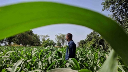 Agro brasileiro captura muito mais carbono do que emite, diz especialista