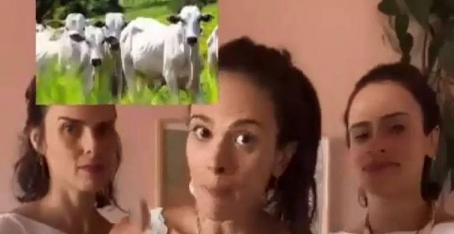 Legenda: Em vídeo, influenciadoras sugerem reduzir consumo de carne - @JoseMedeirosMT no Twitter