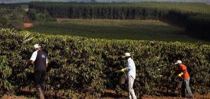 Venda de café da safra 2022/23 do Brasil atinge 32% 