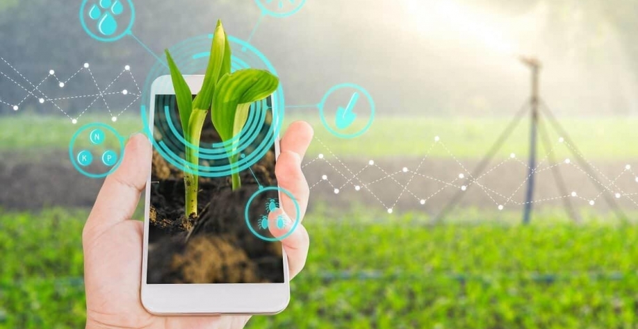 Vagas no agro: para quem são as melhores oportunidades de carreira