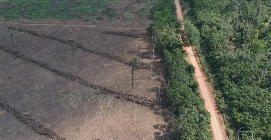 Legenda: Desmatamento na Amazônia Legal — Foto: Jornal Nacional/ Reprodução