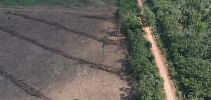 Amazônia Legal tem o maior desmatamento em 14 anos