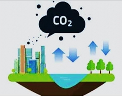 Brasil tem potencial para se tornar o país líder em sequestro de carbono