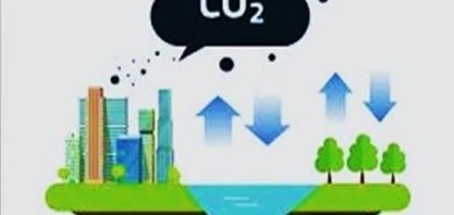 Brasil tem potencial para se tornar o país líder em sequestro de carbono