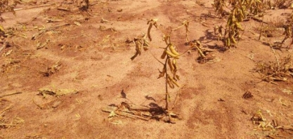 Quebra de safra com chuva e seca vai prolongar inflação dos alimentos