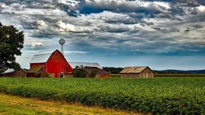 Produção de soja dos EUA atinge novo recorde