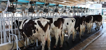 Leite: Com demanda fraca, preço pago ao produtor é o menor desde março/21