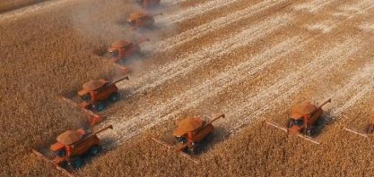 Governo revisa safra para baixo, mas mercado estima quebra ainda maior