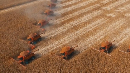 Governo revisa safra para baixo, mas mercado estima quebra ainda maior