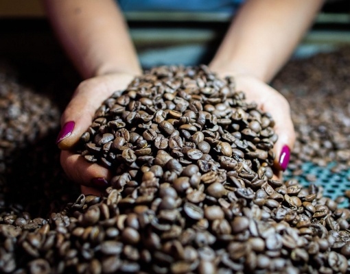 Café: Exportações de dezembro caem 14,1% ante dezembro/20