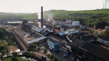 1ª usina a pagar 100% de CBio aos produtores deve fechar 2ª safra recorde 