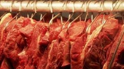 Disparam exportações de carne bovina para EUA, Egito e Rússia em janeiro