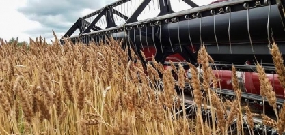 Guerra na Ucrânia vai deixar pão mais caro no Brasil